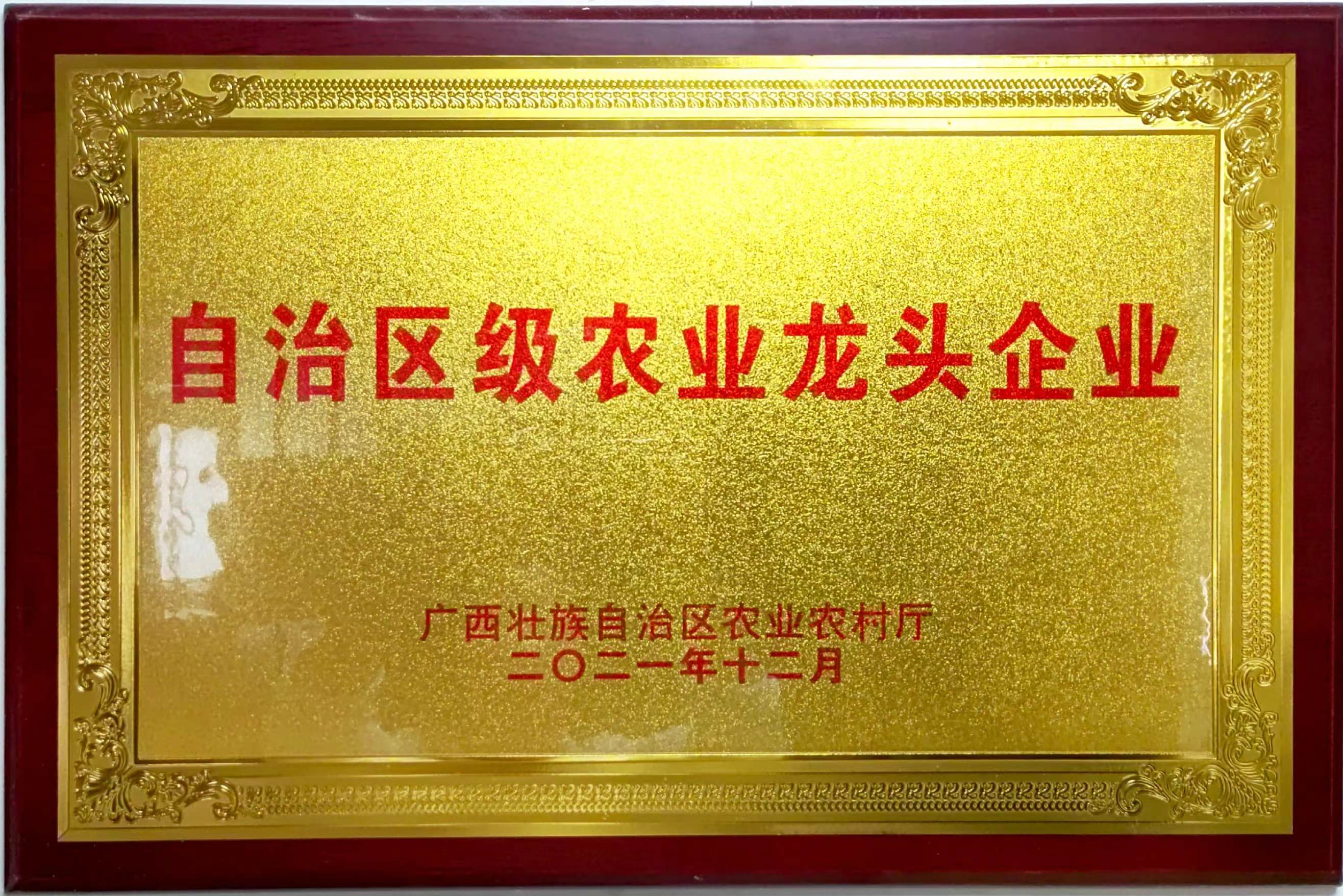 自治區級農業(yè)龍頭企業(yè)21.12